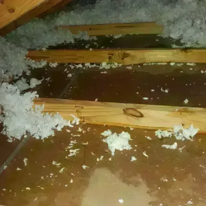 Attic Water Damage in Malakoff, TX